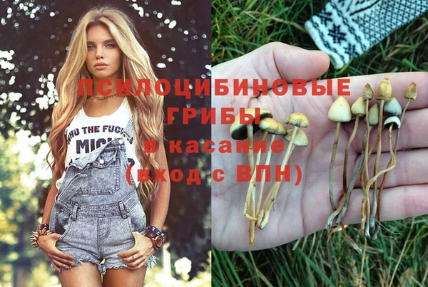 амфетамин Заводоуковск
