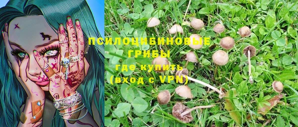 мдма Заволжск