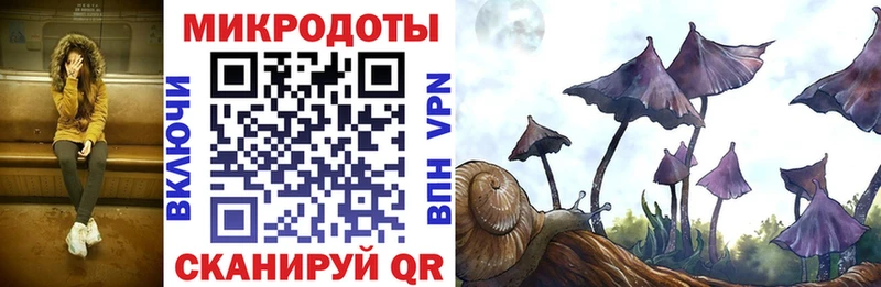 Купить где  Сухой Лог  Псилоцибиновые грибы Psilocybe 