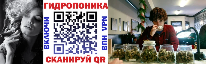 Купить Сухой Лог Марихуана индика